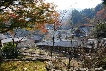 Hasedera Temple in Nara, Japan - 日本 奈良 長谷寺