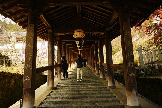 Hasedera Temple in Nara, Japan - 日本 奈良 長谷寺 登廊
