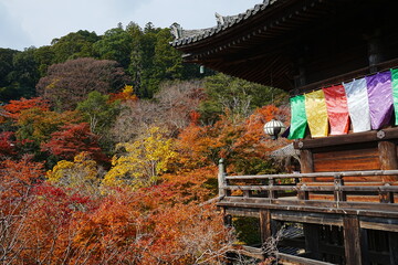 Hasedera Temple in Nara, Japan - 日本 奈良 長谷寺