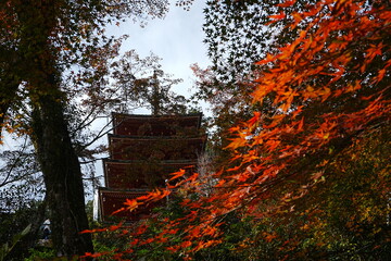 Hasedera Temple in Nara, Japan - 日本 奈良 長谷寺 五重塔