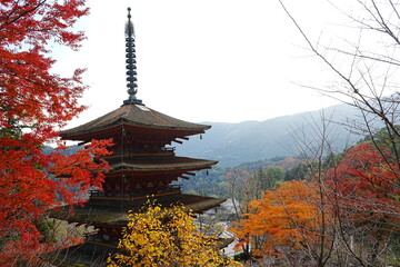 Hasedera Temple and Beautiful Autumn Japanese Garden in Nara, Japan - 日本 奈良 長谷寺 五重塔 秋の景色