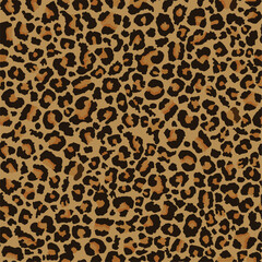 leopard pattern Cheetah  Leopard Pattern print seamless 