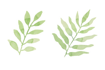 Assortment of watercolor leaves illustration set - green leaf branches collection for wedding, greetings, stationary, wallpapers, fashion, background. olive, green leaves, Eucalyptus etc