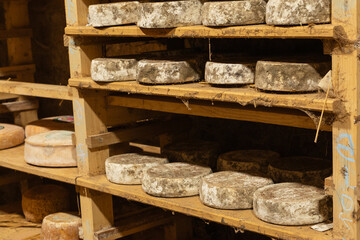 aged cheese in the cellar ready to eat eating cooking appetizer meal food snack on the table copy space food