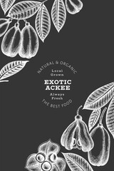 Hand drawn sketch style ackee banner. Organic fresh food vector illustration on chalk board. Retro exotic fruit design template. Engraved style botanical background.