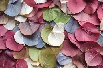 Fotobehang hydrangea petals texture under natural light © Sergey