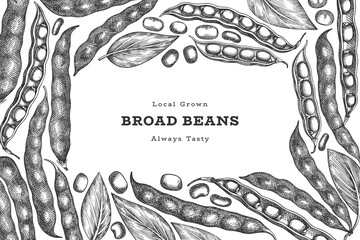 Hand drawn broad beans design template. Organic fresh food vector illustration. Retro pods illustration. Engraved botanical style cereal background. - obrazy, fototapety, plakaty