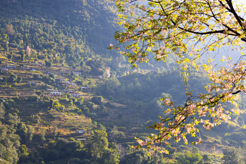 the valley and village of Birethanti in Nepal, view of Poonhill circle trekking