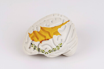 On a white background, a model of the brain with a picture of a flag - Cyprus