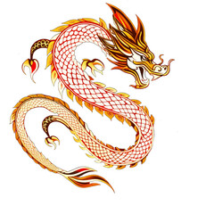 Red dragon on transparent background.
