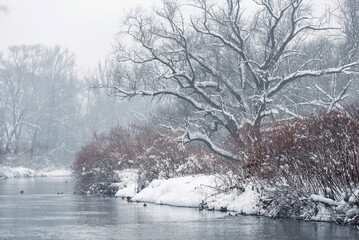 Zimowy krajobraz, okolice Wisły Czechowice Dziedzice, Polska  © Elżbieta Kaps