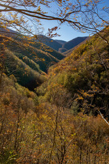 Fototapeta premium Sentiero per il Santuario della Madonna del Faggio, Porretta Terme, città metropolitana di Bologna, Emilia Romagna