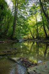 Passeggiate nel Parco nazionale Foreste Casentinesi, al confine tra Emilia Romagna e Toscana, Italia