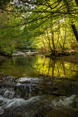 Passeggiate nel Parco nazionale Foreste Casentinesi, al confine tra Emilia Romagna e Toscana, Italia