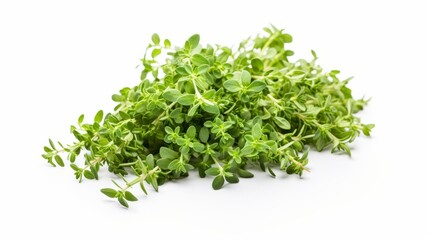 a bunch of fresh thyme leaves isolated on a white background, showcasing their vibrant green color.