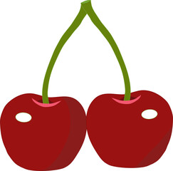 Red cherry vector 