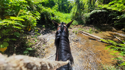 Riding a horse on the countryside of Vinales in Cuba