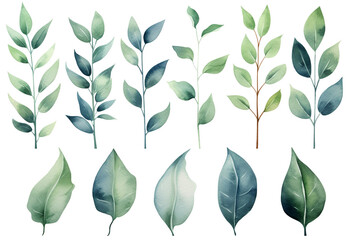 Watercolor painting. Ficus symbols on a white background. 