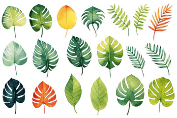 Watercolor set of tropical leaves on a white background.  - obrazy, fototapety, plakaty