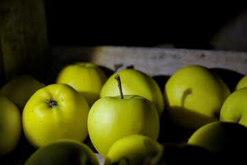 Ripe organic grown apples in wooden box in bright light.