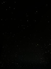 A shiny star at night