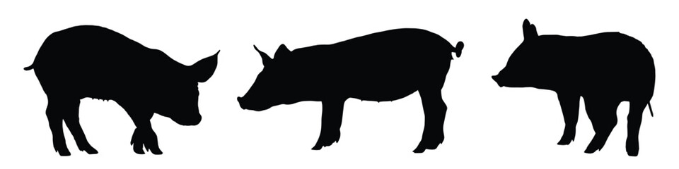 pig silhouette. pig vector illustration.