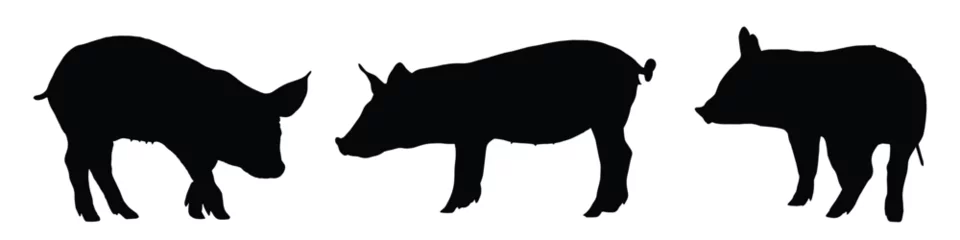 Fotobehang pig silhouette. pig vector illustration. © Creative Designer