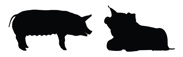 Fotobehang pig silhouette. pig vector illustration. © Creative Designer
