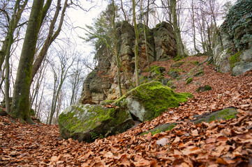 Devil Gorge at the Eifel, Teufelsschlucht with mighty boulders and canyon, hiking trail in Germany, sandstone rock formation, autumn 