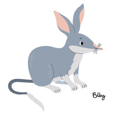 Australian animal bilby. Cute wild mammal. Vector illustration