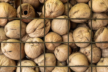 The partition wall is made from brown coconut shells.