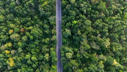 top view road and forest. Road going through forest view from above