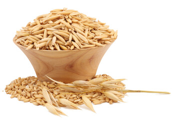 Grain oats isolated on a white background