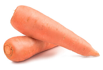 Carrots isolated on a white background