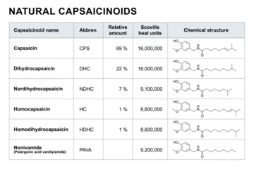 Fotobehang Naturally occurring capsaicinoids in chili peppers. Table with the 6 names of the capsaicinoids, descending from the most common average amount in percent, with abbreviations, and chemical structures. © Peter Hermes Furian