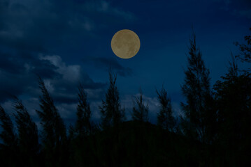 Full moon in the sky with tree branch and mountain.