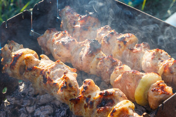 Grilled kebab cooking on metal skewer. Roasted meat cooked at barbecue.Traditional eastern dish, shish kebab. Grill on charcoal and flame, picnic, street food