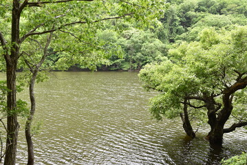 Scenery of Jusanji, Korea