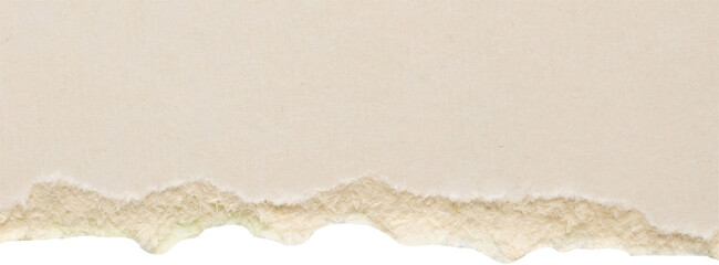 White ripped paper torn edges strips isolated on white background
