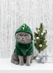 Cute cat in green hoodie with silver Christmas decorations. British cat in a green dragon costume. The symbol of the year 2024. Copy space.