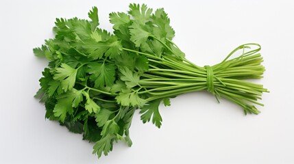 A bunch of fresh parsley, tied with a twine, laid flat on a stark white surface.