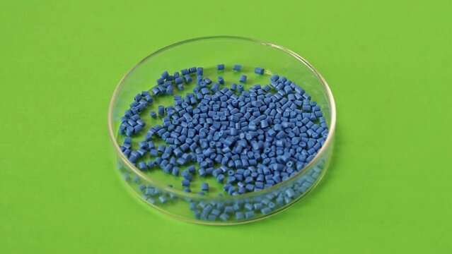 blue plastic granules in a petri dish on a green background. polymer pellets