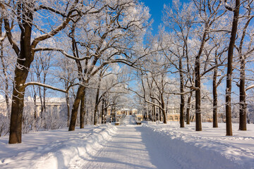 Winter in Catherine park, Tsarskoe Selo (Pushkin), Saint Petersburg, Russia