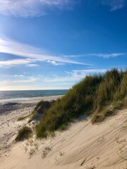 sand dunes and beach