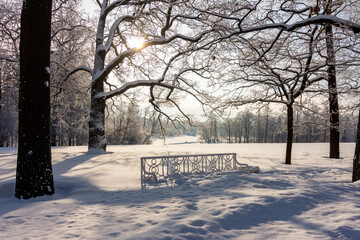 Winter in Catherine park, Tsarskoe Selo (Pushkin), Saint Petersburg, Russia