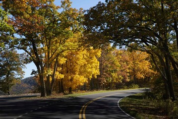 Skyline Drive on an autumn afternoon displaying intense colors in the trees lining scenic Skyline Drive in Shenandoah National Park