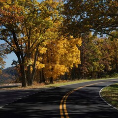 Skyline Drive in Shenandoah National Park shows off its autumn colors.