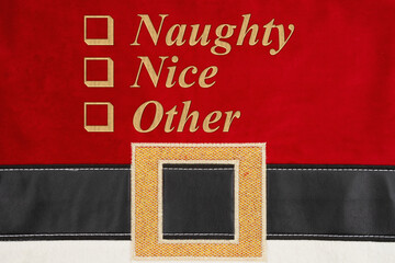 Naughty or Nice or Other checkbox for Christmas on Santa suit
