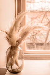 color of the year. Peach Fuzz. Pampas grass in a glass vase by the window, reed layer, reed seeds....