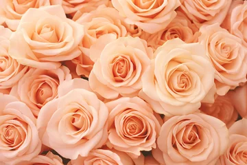 Deurstickers roses background in color of the year 2024 peach fuzz © World of AI